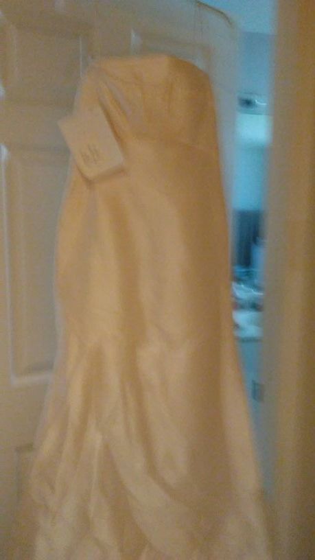 A Stunning Angel Sanchez Wedding Gown.