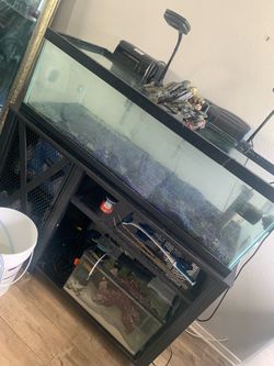 Aqueon 60 Gallon Aquarium