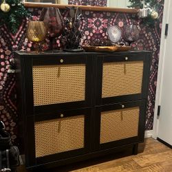 Shoe Organizer/Storage