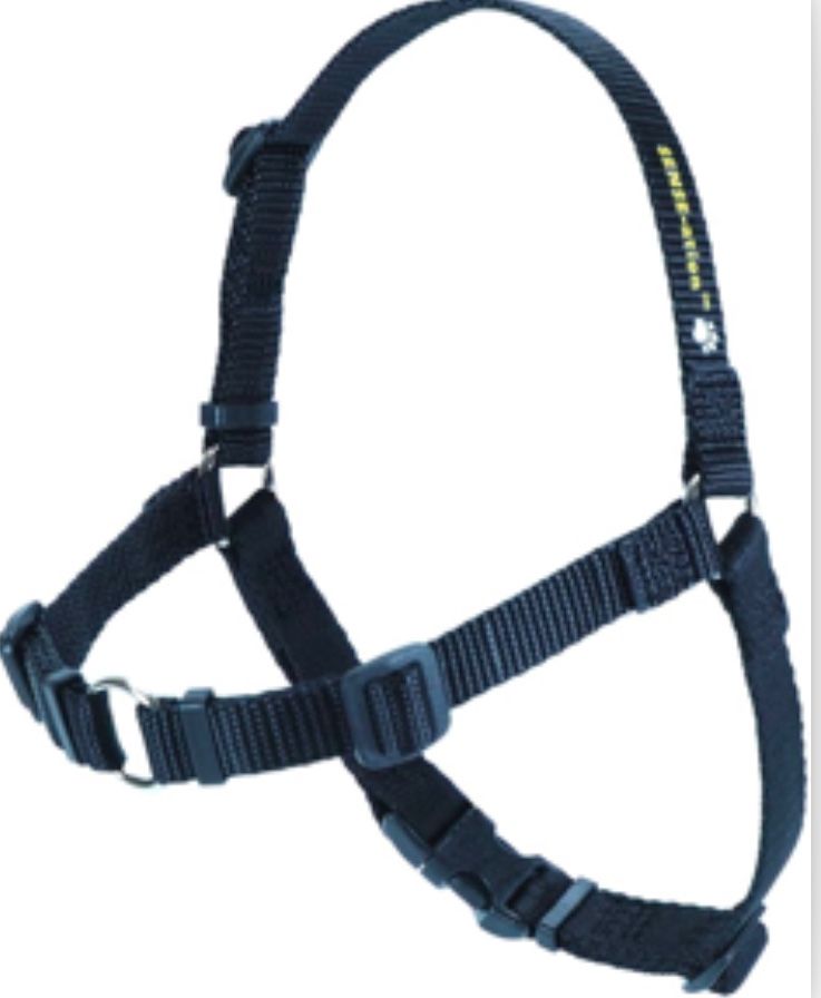 Softouch SENSE-ation No-Pull Dog Harness (Black, Small)