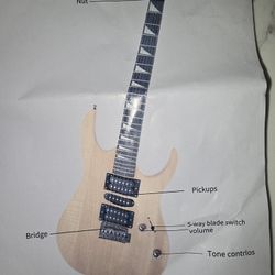 Guitar Building Kit
