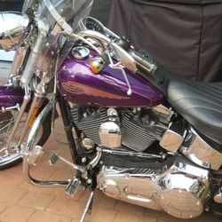 2002 Harley Soft Tail Springer 
