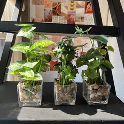 Fake Plant Set