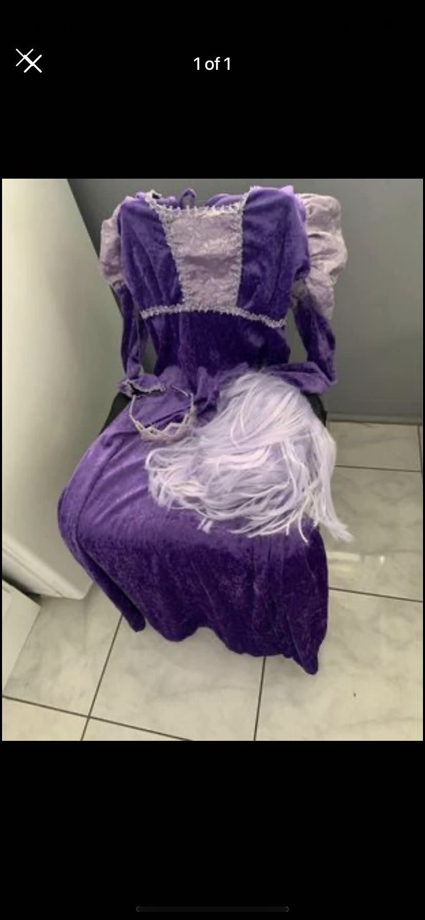 Renaissance Festival/ Halloween Costume. New Purple Wig$6. Princess Gown $12…Worn For 2 Hours At Hospital Function.. No Crown.. Size Small