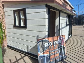 dog House
