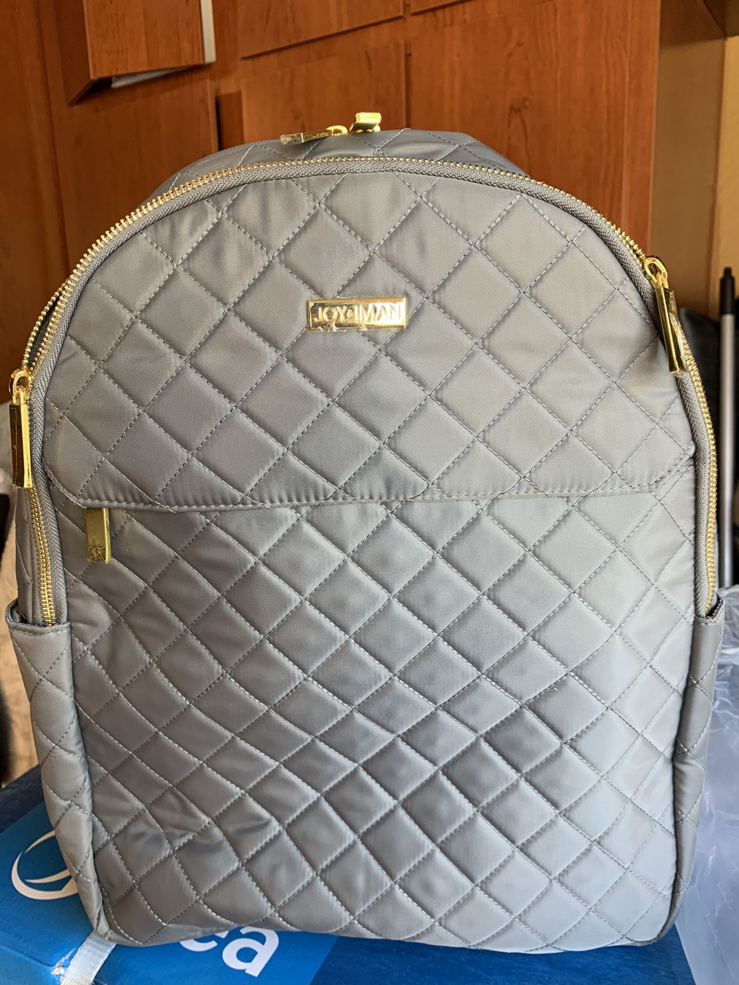 Grey laptop Backpack (brand new)