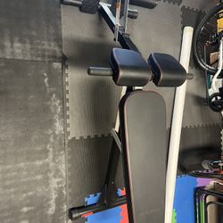 Fitness Reality Bench 