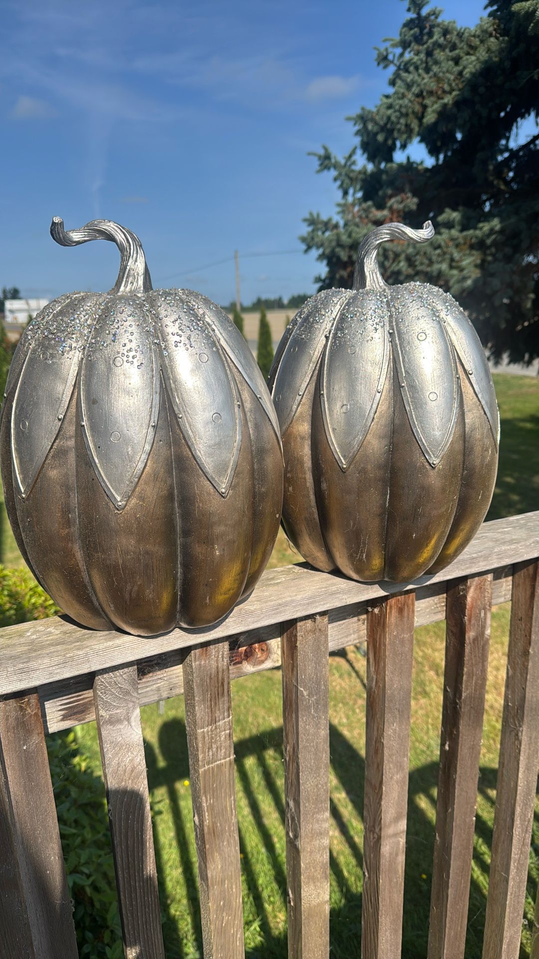 Sprinkle Home Decorating Pumpkin Paid $50 For Both Plus Tax