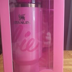 BARBIE X STANLEY BARBIE ICON
40 OZ QUENCHER