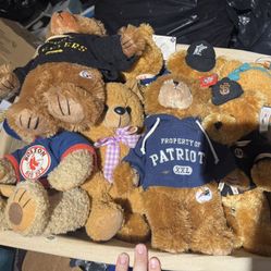 Teddy Bear Collection