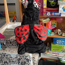 Dog Halloween Costumes