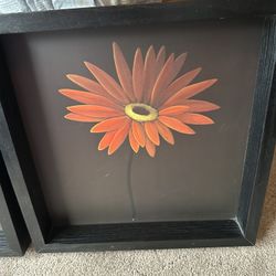 Framed Art