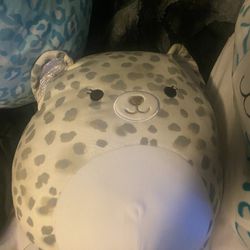 cheetah squishmallow cat 