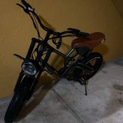 Electric Bike 