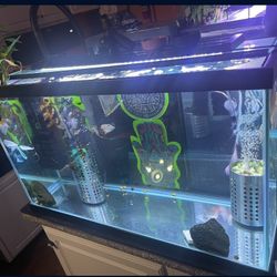 55 - 75 Gallons Vision