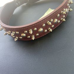 Big Dog Collar