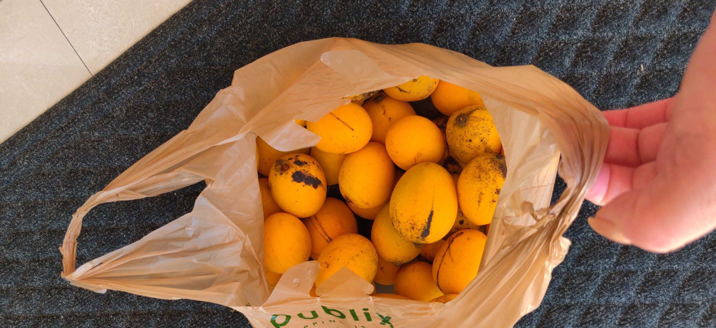 Organic Mangos for Sale