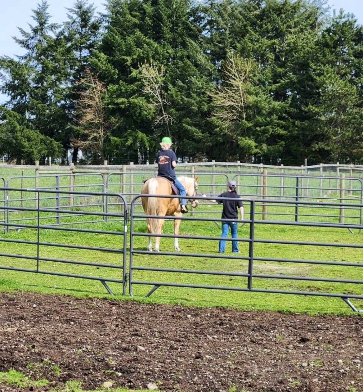 Round Pen 60ft