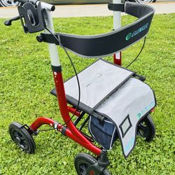 Adult Walker 