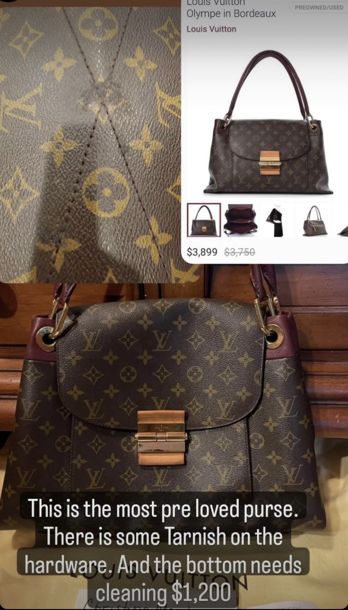 Louis Vuitton Purse