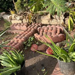 Pave Stone Garden Edging for Plants