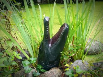 Gator Head