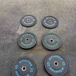 160 LBS of Bumper Weights For Crossfit