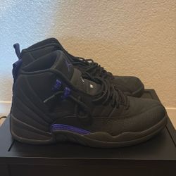 Size 11 - Air Jordan 12 Retro Dark Concord