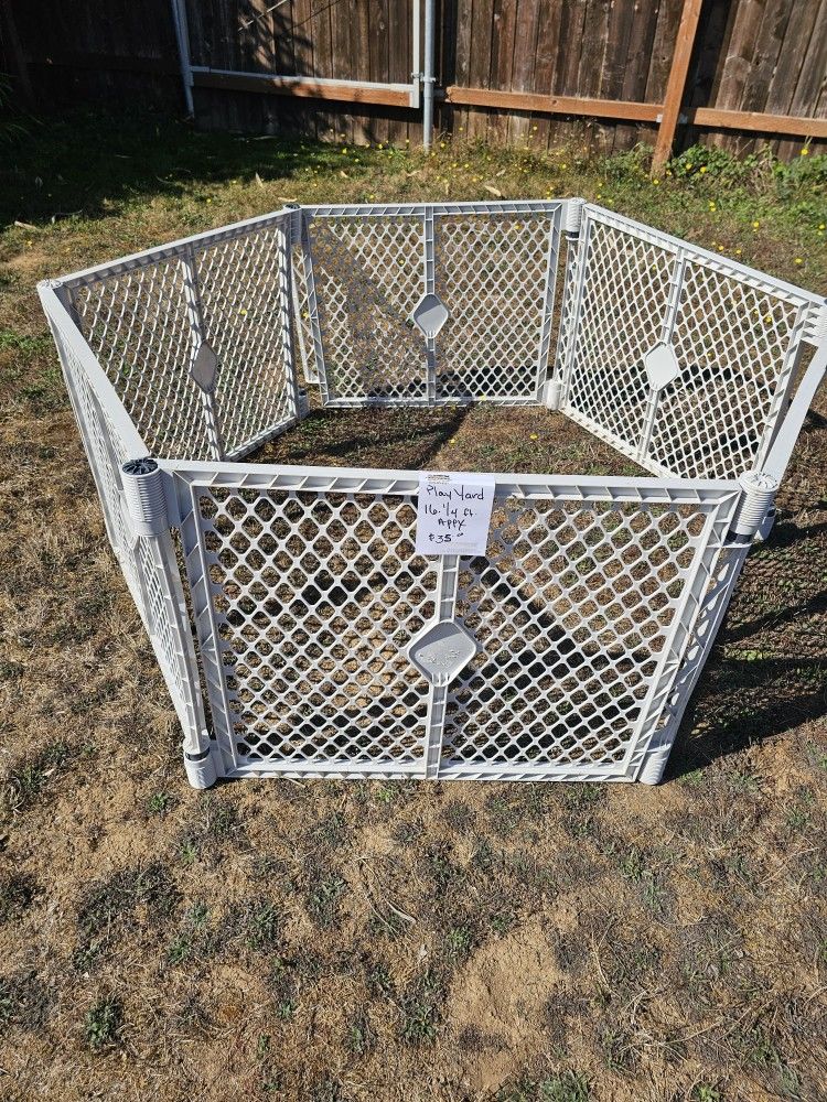Dog Related Items 
