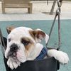 Charles