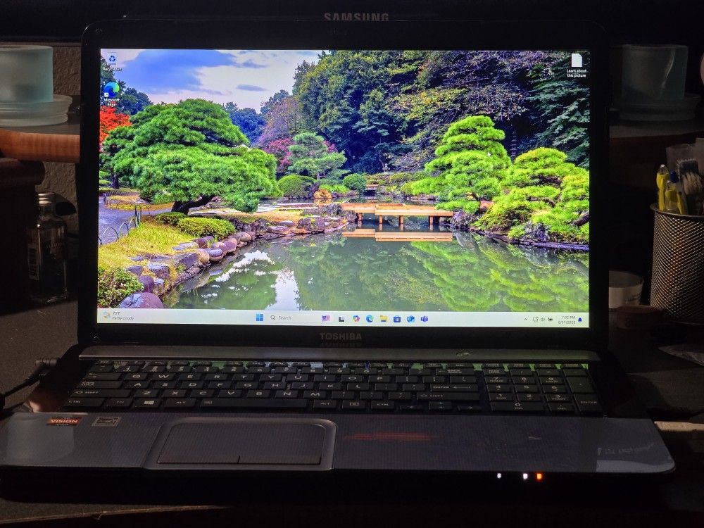 Windows 11 Pro 17.3 inches Laptop