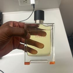 Hermes “ Terre”
