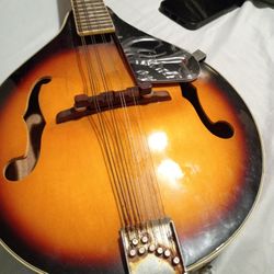 rogue fine instruments