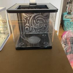 Beta Fish Tank