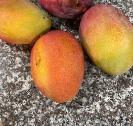 Sweet Mangoes