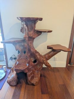 Wooden Root decor