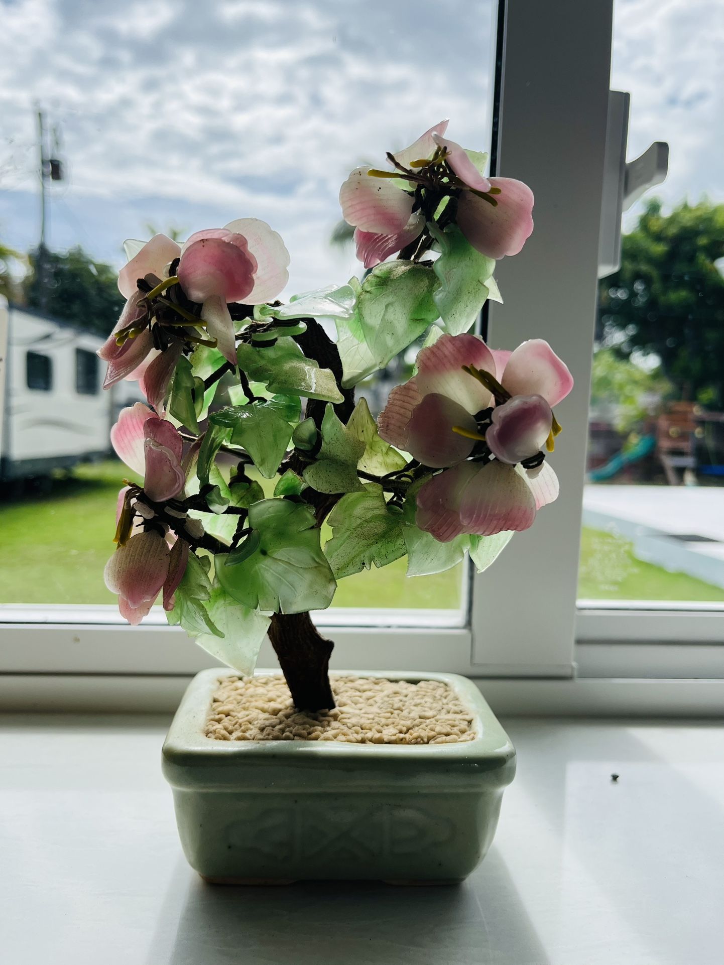 Vintage Jade bonsai