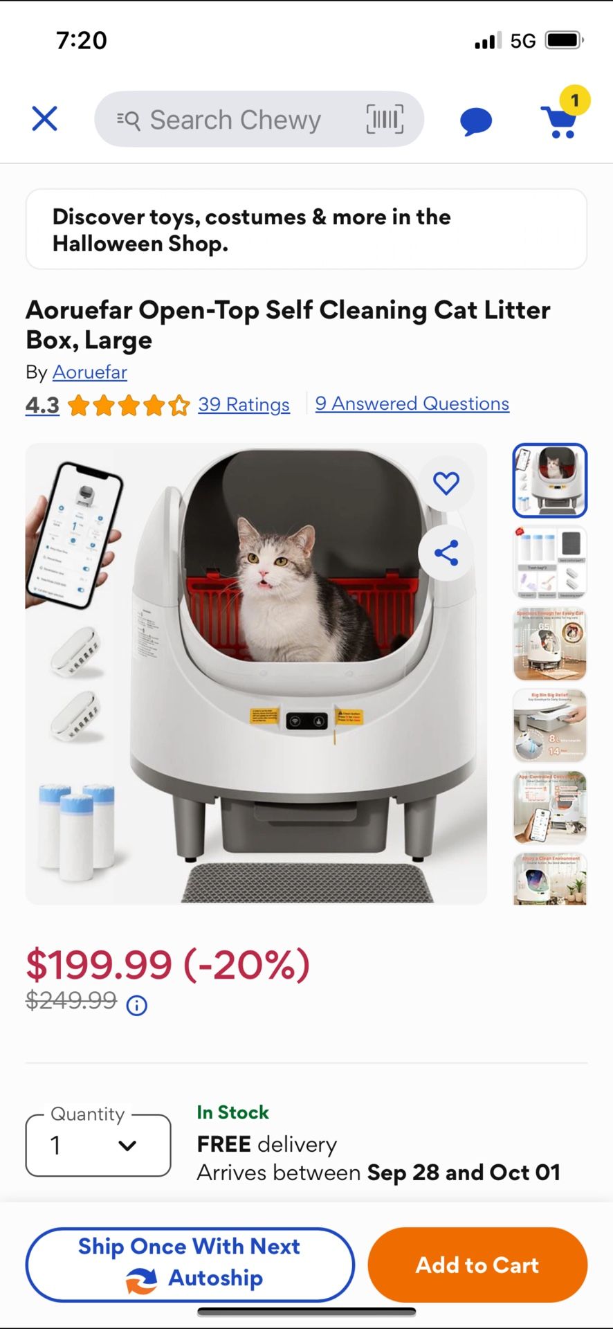 Litter Box Cat