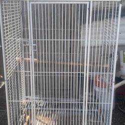 Bird Cage 
