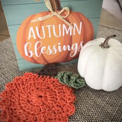 Crochet Set Of Coaster Fall Inspired