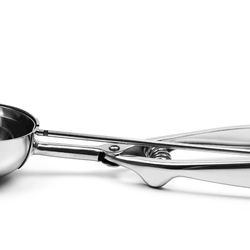 🌟 Number 12 Spring Scoop – New