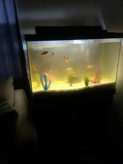 45 gallon fish tank and stand, pump