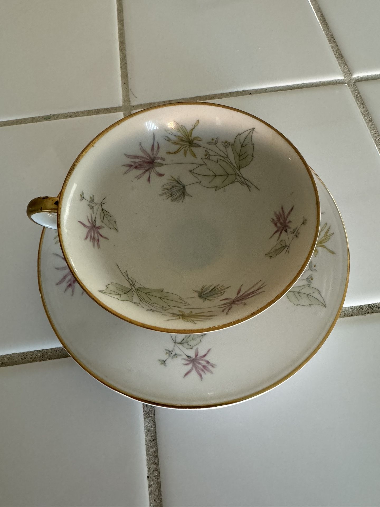 Edelstein (Bavaria, Germany, 1927) Fine Porcelain China Cup & Saucer