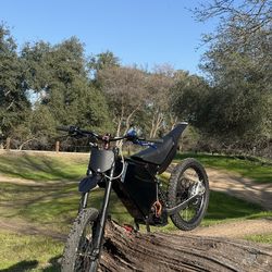 Custom Ebike