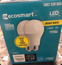 EcoSmart 2 Bulb Pack 100-Watt Equivalent A19 Dimmable LED Light Bulb Bright White