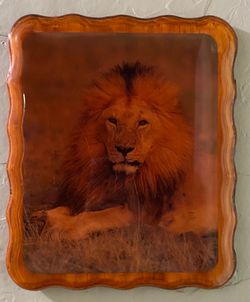 VINTAGE LION GLOSSY WALL ART