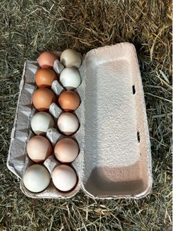 Farm Fresh Eggs