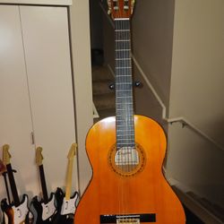  Acoustic Guitar KINGSTON MODEL C-60 