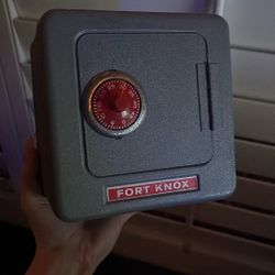 Fort Knox Metal Safe