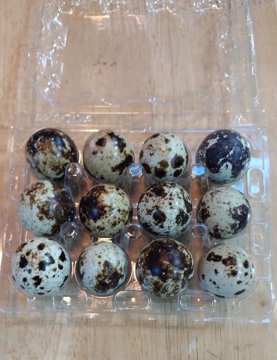 Quail Eggs